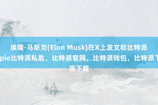 埃隆·马斯克(Elon Musk)在X上发文称比特派bitpie比特派私匙，比特派官网，比特派钱包，比特派下载