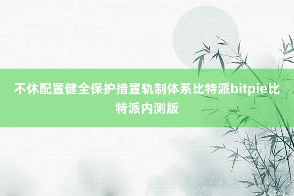 不休配置健全保护措置轨制体系比特派bitpie比特派内测版