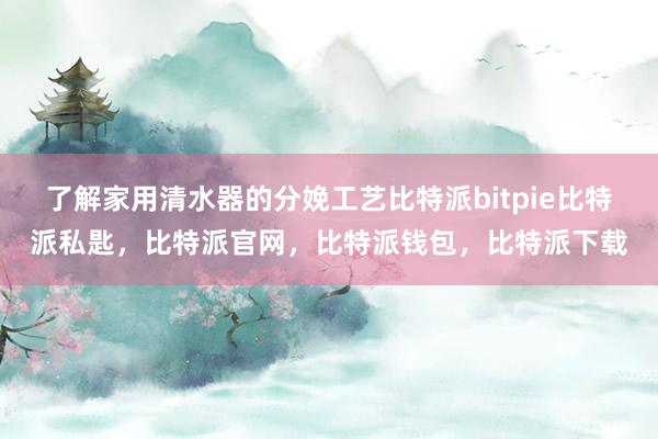 了解家用清水器的分娩工艺比特派bitpie比特派私匙，比特派官网，比特派钱包，比特派下载