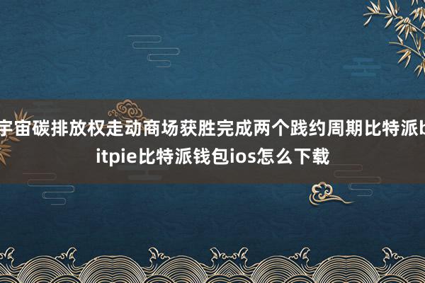 宇宙碳排放权走动商场获胜完成两个践约周期比特派bitpie比特派钱包ios怎么下载