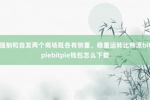 强制和自发两个商场既各有侧重、稳重运转比特派bitpiebitpie钱包怎么下载