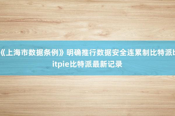 《上海市数据条例》明确推行数据安全连累制比特派bitpie比特派最新记录