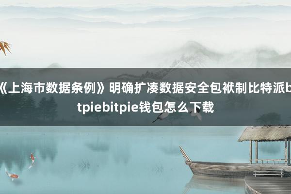 《上海市数据条例》明确扩凑数据安全包袱制比特派bitpiebitpie钱包怎么下载