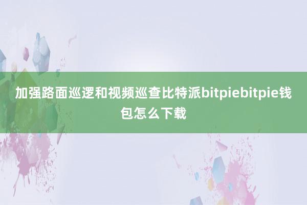 加强路面巡逻和视频巡查比特派bitpiebitpie钱包怎么下载