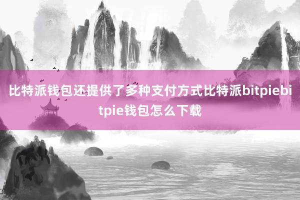 比特派钱包还提供了多种支付方式比特派bitpiebitpie钱包怎么下载