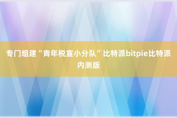 专门组建“青年税宣小分队”比特派bitpie比特派内测版