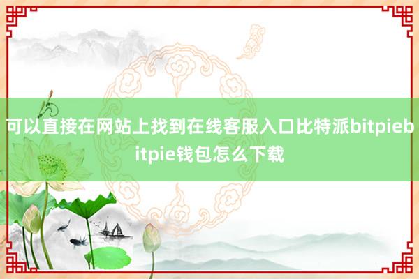 可以直接在网站上找到在线客服入口比特派bitpiebitpie钱包怎么下载