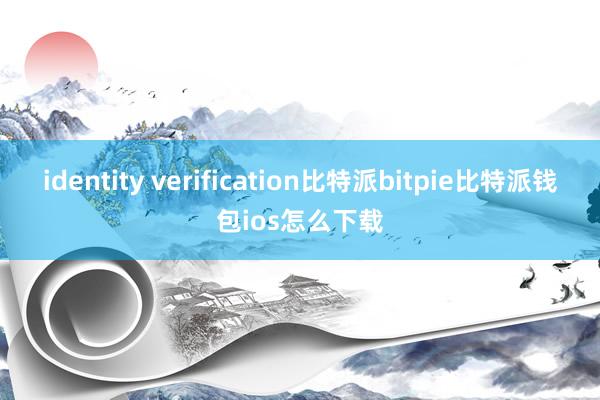 identity verification比特派bitpie比特派钱包ios怎么下载