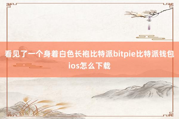 看见了一个身着白色长袍比特派bitpie比特派钱包ios怎么下载