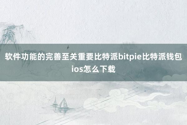 软件功能的完善至关重要比特派bitpie比特派钱包ios怎么下载