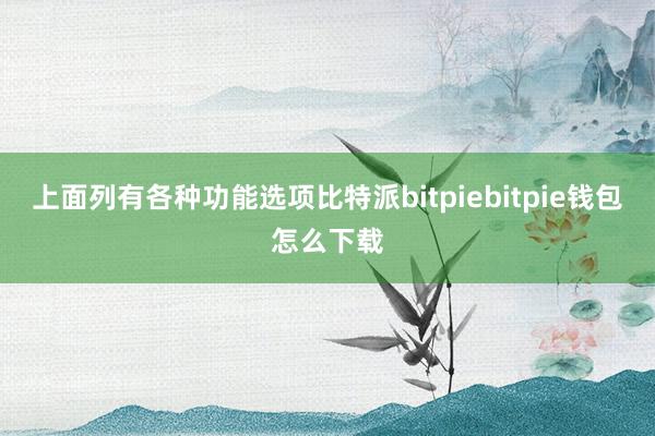 上面列有各种功能选项比特派bitpiebitpie钱包怎么下载