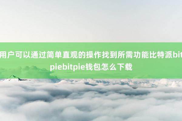 用户可以通过简单直观的操作找到所需功能比特派bitpiebitpie钱包怎么下载