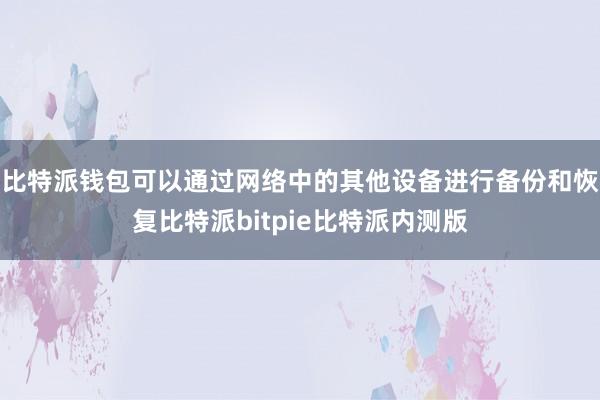 比特派钱包可以通过网络中的其他设备进行备份和恢复比特派bitpie比特派内测版