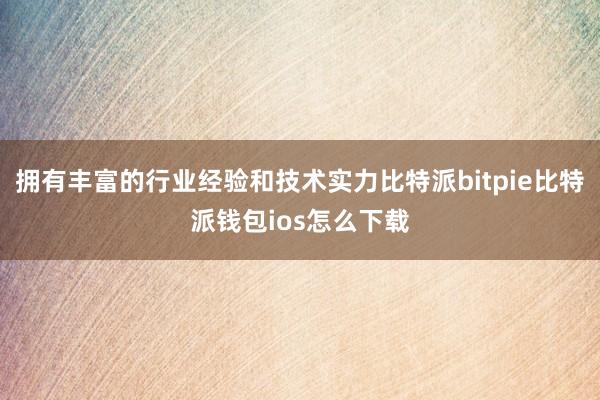 拥有丰富的行业经验和技术实力比特派bitpie比特派钱包ios怎么下载