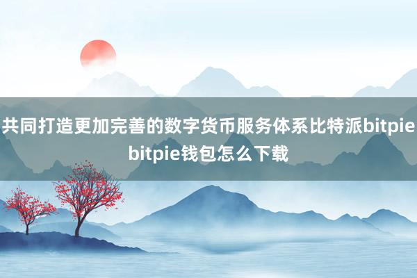 共同打造更加完善的数字货币服务体系比特派bitpiebitpie钱包怎么下载