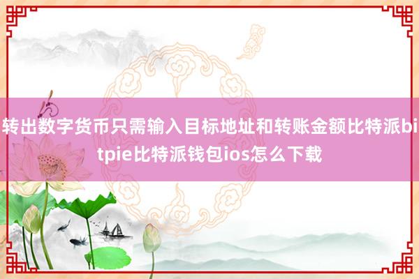 转出数字货币只需输入目标地址和转账金额比特派bitpie比特派钱包ios怎么下载