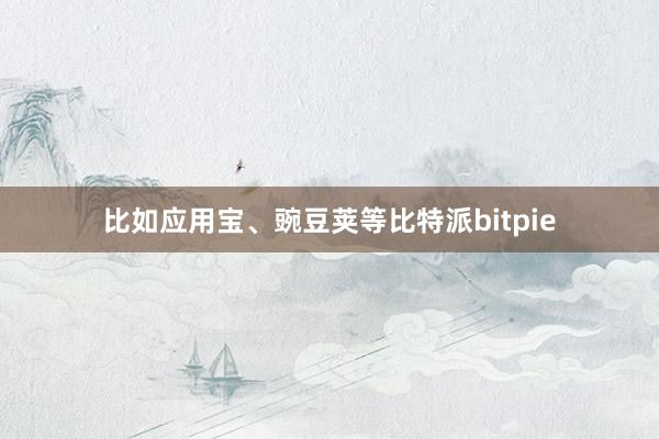 比如应用宝、豌豆荚等比特派bitpie