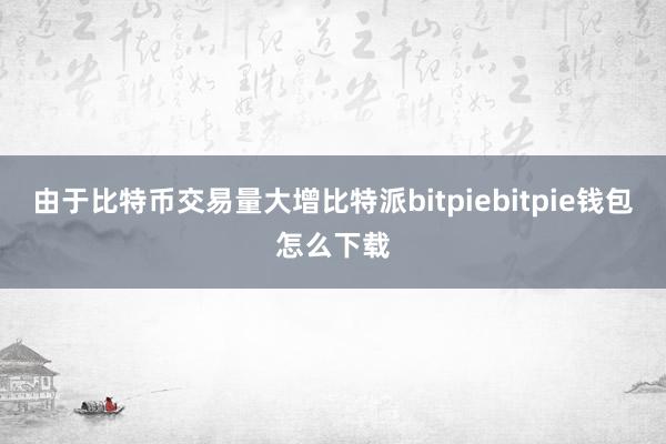 由于比特币交易量大增比特派bitpiebitpie钱包怎么下载