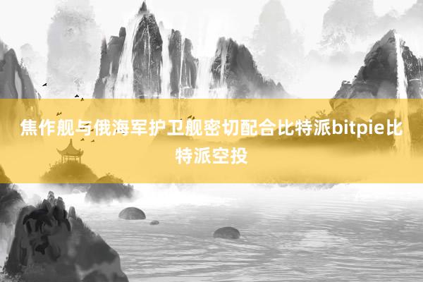 焦作舰与俄海军护卫舰密切配合比特派bitpie比特派空投