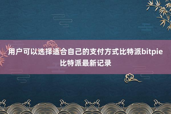 用户可以选择适合自己的支付方式比特派bitpie比特派最新记录