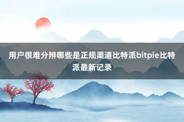 用户很难分辨哪些是正规渠道比特派bitpie比特派最新记录