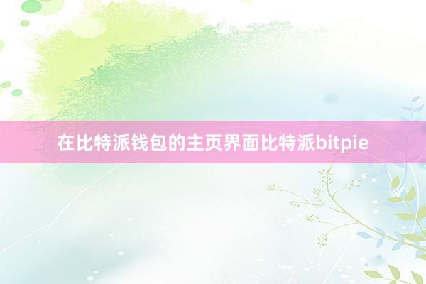 在比特派钱包的主页界面比特派bitpie