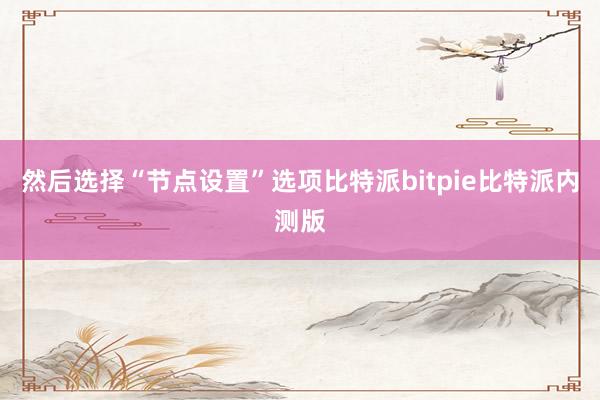 然后选择“节点设置”选项比特派bitpie比特派内测版