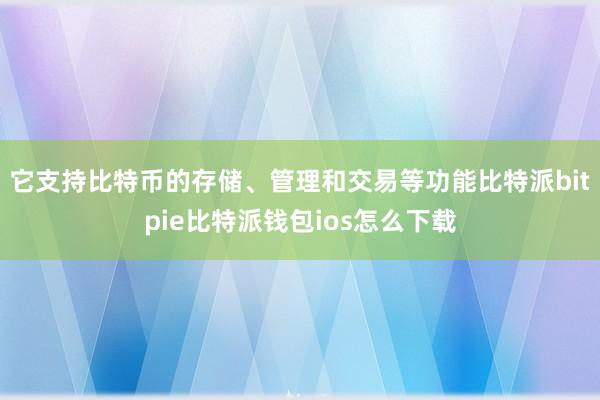 它支持比特币的存储、管理和交易等功能比特派bitpie比特派钱包ios怎么下载