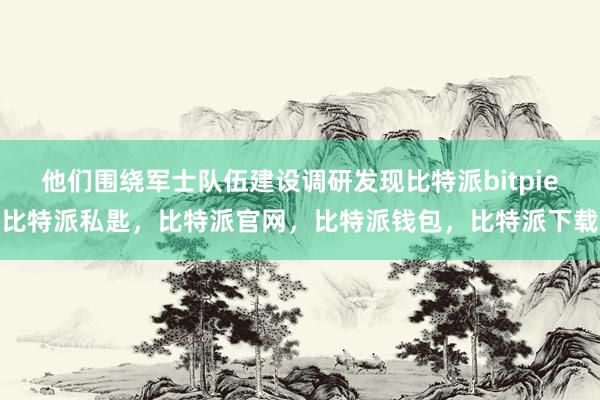 他们围绕军士队伍建设调研发现比特派bitpie比特派私匙，比特派官网，比特派钱包，比特派下载