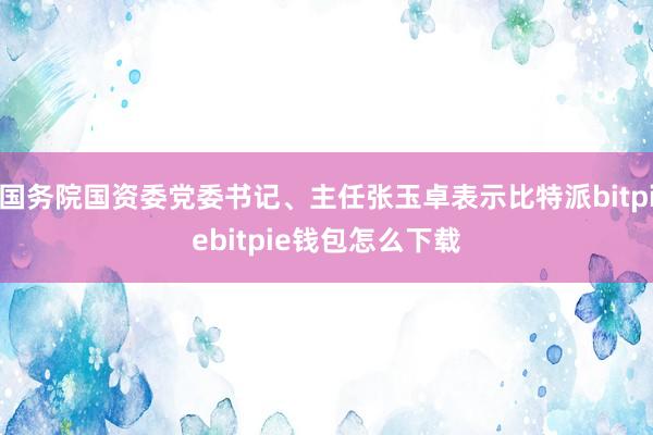 国务院国资委党委书记、主任张玉卓表示比特派bitpiebitpie钱包怎么下载