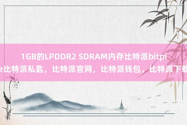 1GB的LPDDR2 SDRAM内存比特派bitpie比特派私匙，比特派官网，比特派钱包，比特派下载