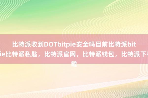 比特派收到DOTbitpie安全吗目前比特派bitpie比特派私匙，比特派官网，比特派钱包，比特派下载