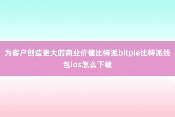 为客户创造更大的商业价值比特派bitpie比特派钱包ios怎么下载