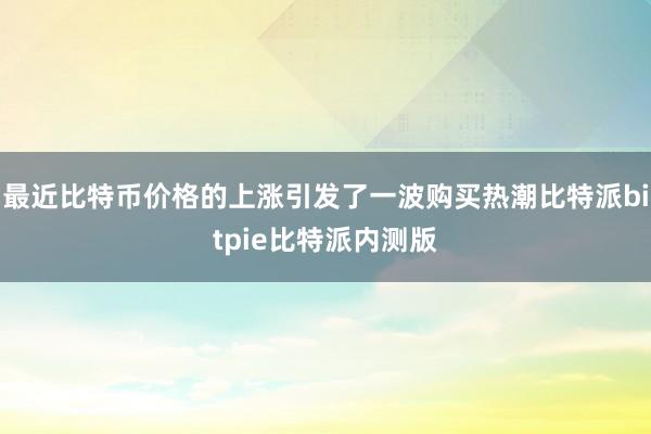 最近比特币价格的上涨引发了一波购买热潮比特派bitpie比特派内测版