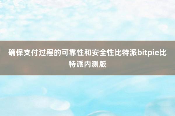 确保支付过程的可靠性和安全性比特派bitpie比特派内测版