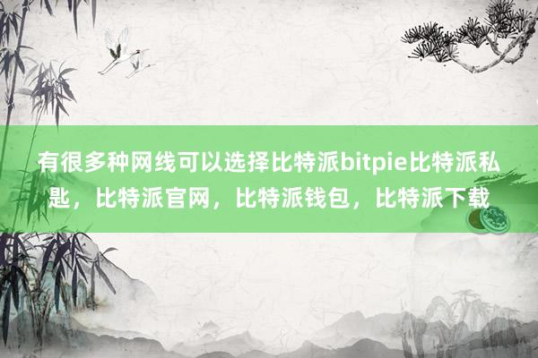 有很多种网线可以选择比特派bitpie比特派私匙，比特派官网，比特派钱包，比特派下载