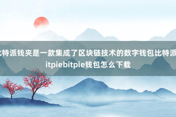 比特派钱夹是一款集成了区块链技术的数字钱包比特派bitpiebitpie钱包怎么下载