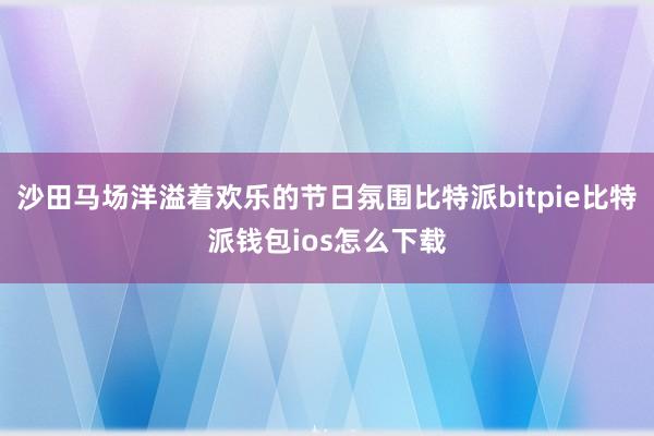 沙田马场洋溢着欢乐的节日氛围比特派bitpie比特派钱包ios怎么下载