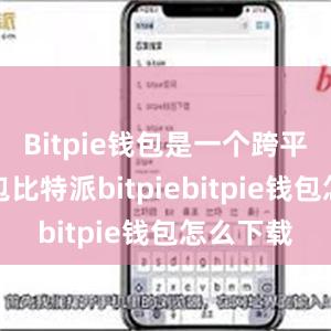 Bitpie钱包是一个跨平台的钱包比特派bitpiebitpie钱包怎么下载