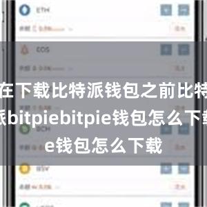 在下载比特派钱包之前比特派bitpiebitpie钱包怎么下载