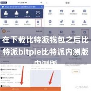 在下载比特派钱包之后比特派bitpie比特派内测版