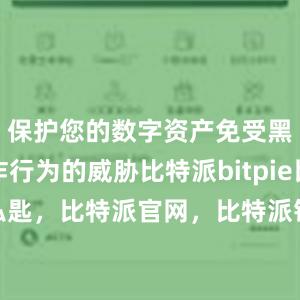 保护您的数字资产免受黑客和欺诈行为的威胁比特派bitpie比特派私匙，比特派官网，比特派钱包，比特派下载