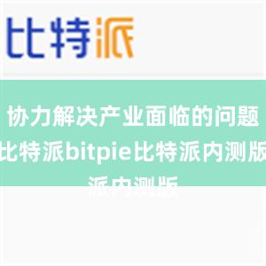 协力解决产业面临的问题比特派bitpie比特派内测版