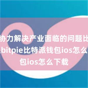 协力解决产业面临的问题比特派bitpie比特派钱包ios怎么下载