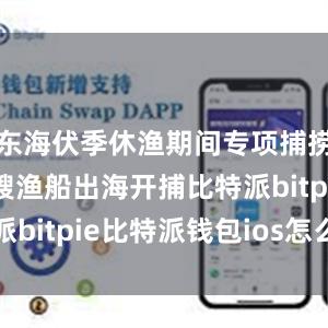 东海伏季休渔期间专项捕捞9600余艘渔船出海开捕比特派bitpie比特派钱包ios怎么下载