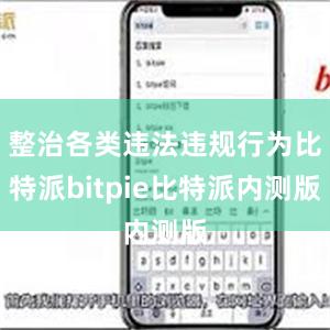 整治各类违法违规行为比特派bitpie比特派内测版