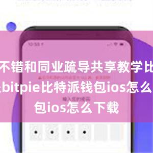 不错和同业疏导共享教学比特派bitpie比特派钱包ios怎么下载