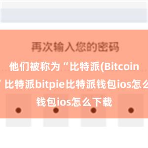 他们被称为“比特派(Bitcoiners)”比特派bitpie比特派钱包ios怎么下载