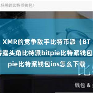 XMR的竞争敌手比特币派（BTC）也初始崭露头角比特派bitpie比特派钱包ios怎么下载