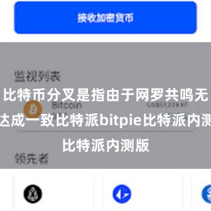 比特币分叉是指由于网罗共鸣无法达成一致比特派bitpie比特派内测版